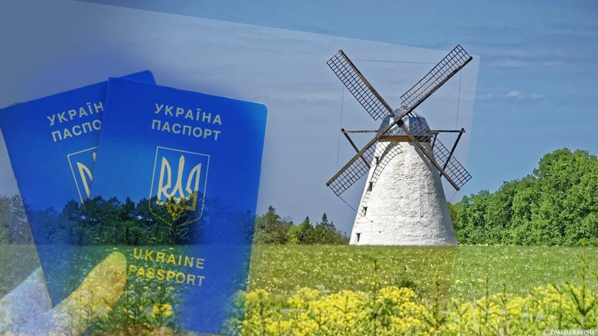 Безвизовый режим для Украины.Эстония
