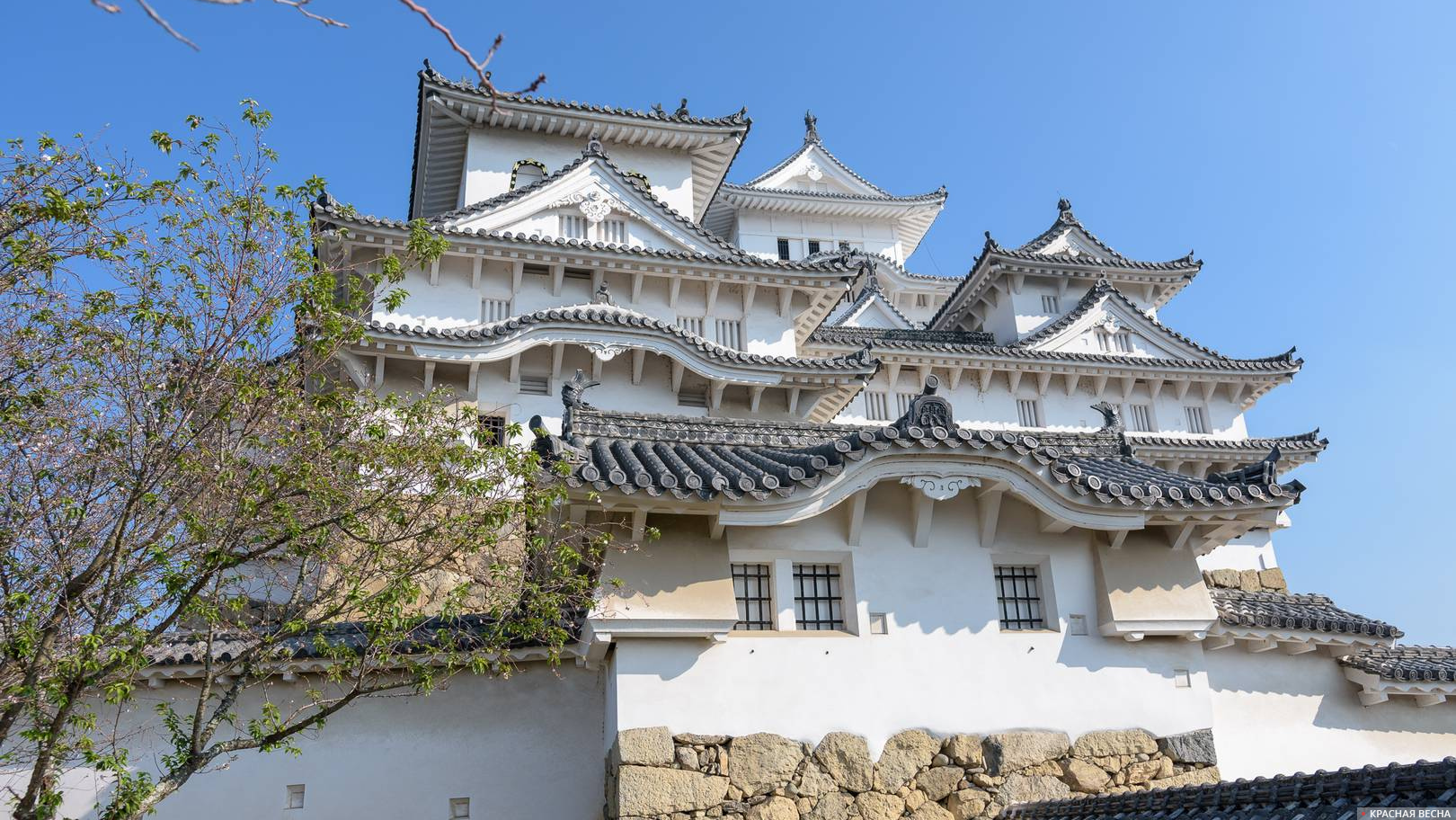 Замок Химэдзи. Япония