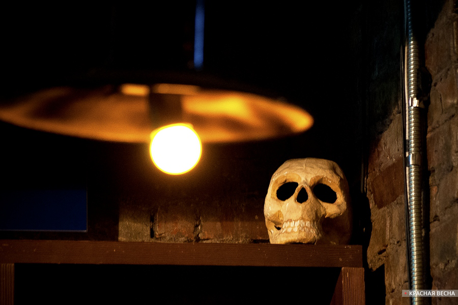 Череп [Николай Дятлов © ИА Красная весна]