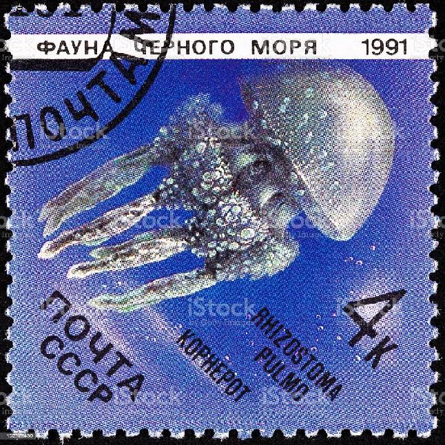 Медуза-корнерот. Почтовая марка СССР