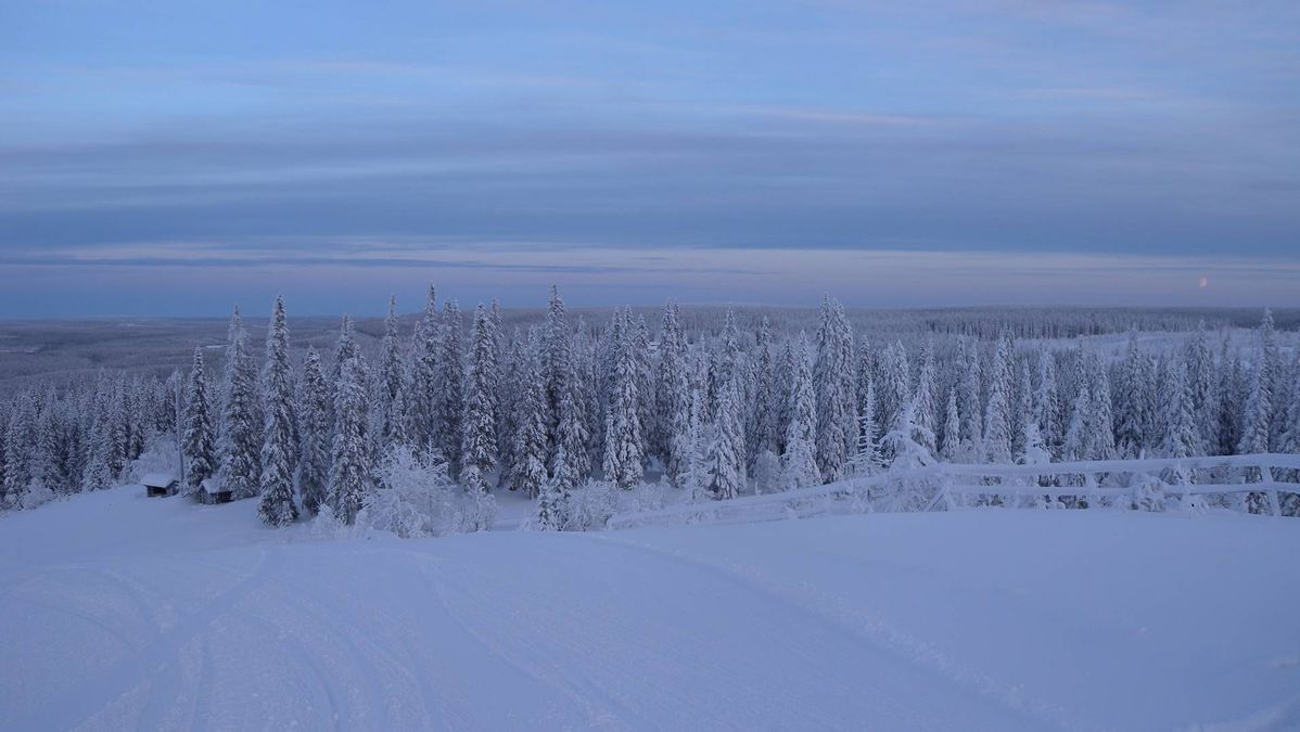Зима в Западной Сибири