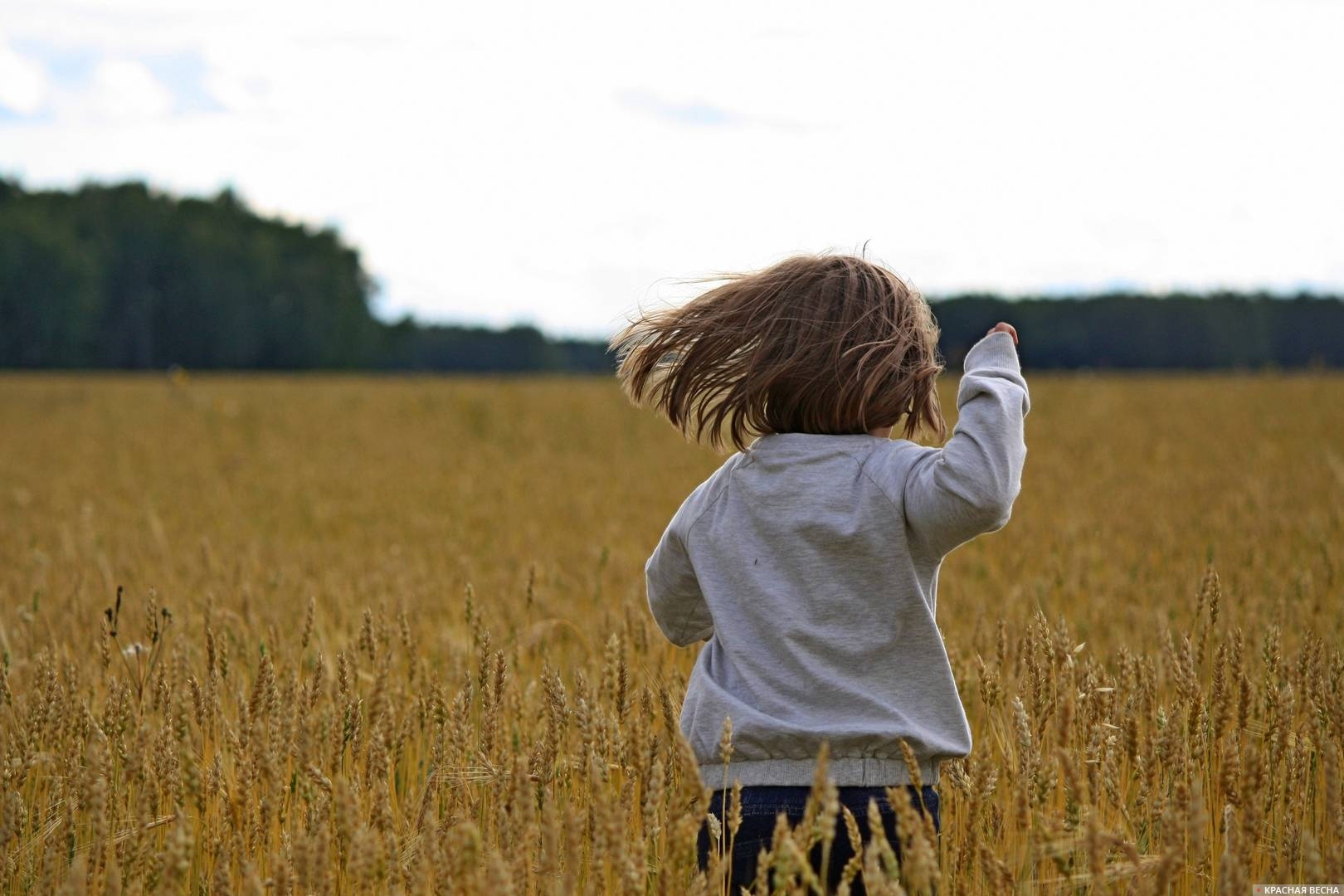 Девочка, бегушая в поле