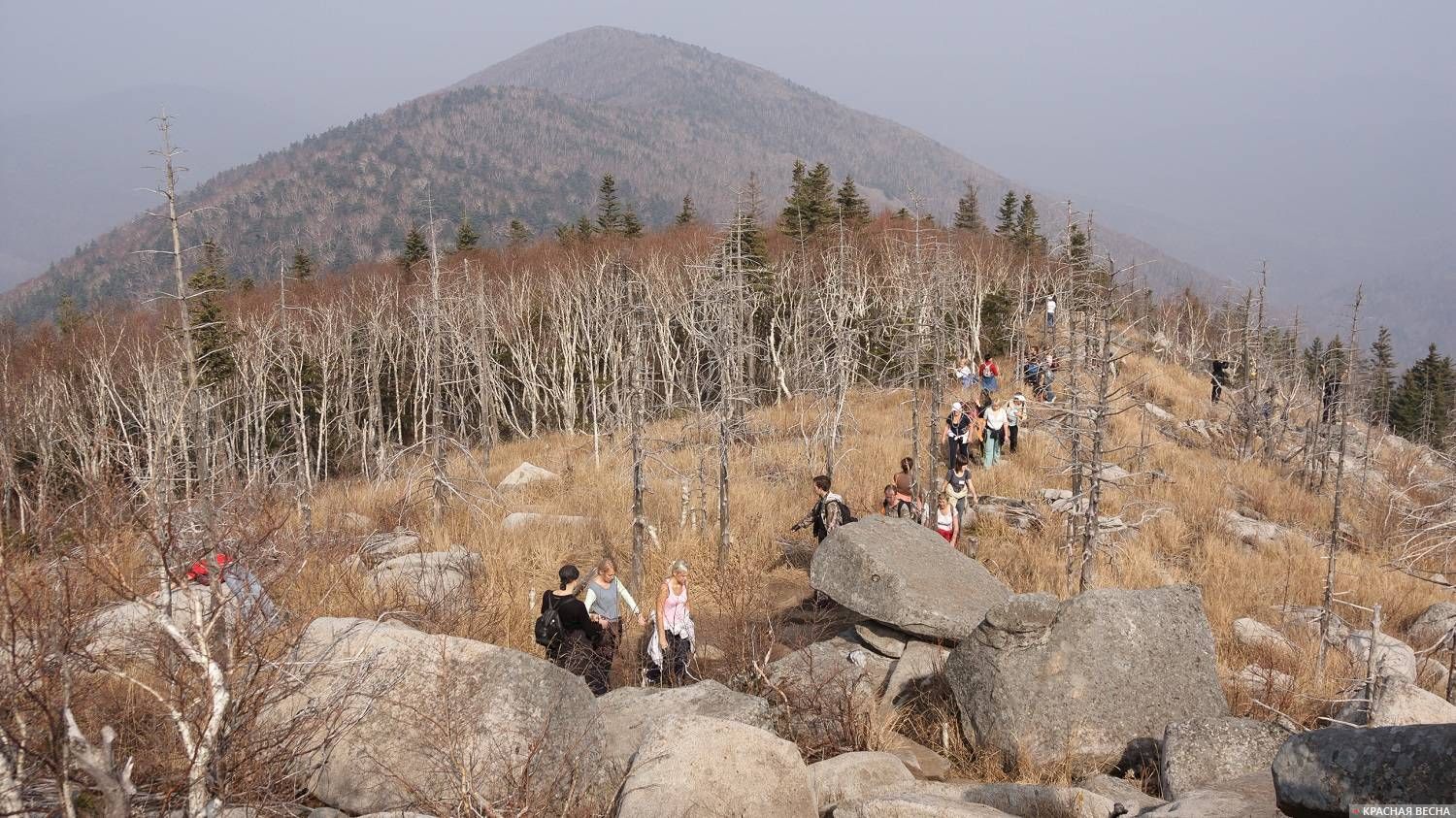 Туристическая тропа, Приморский край.