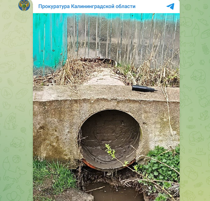 В Калининграде ликвидирован незаконный выпуск сточных вод