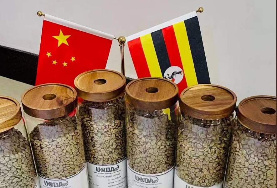 Образцы угандийского кофе в КНР