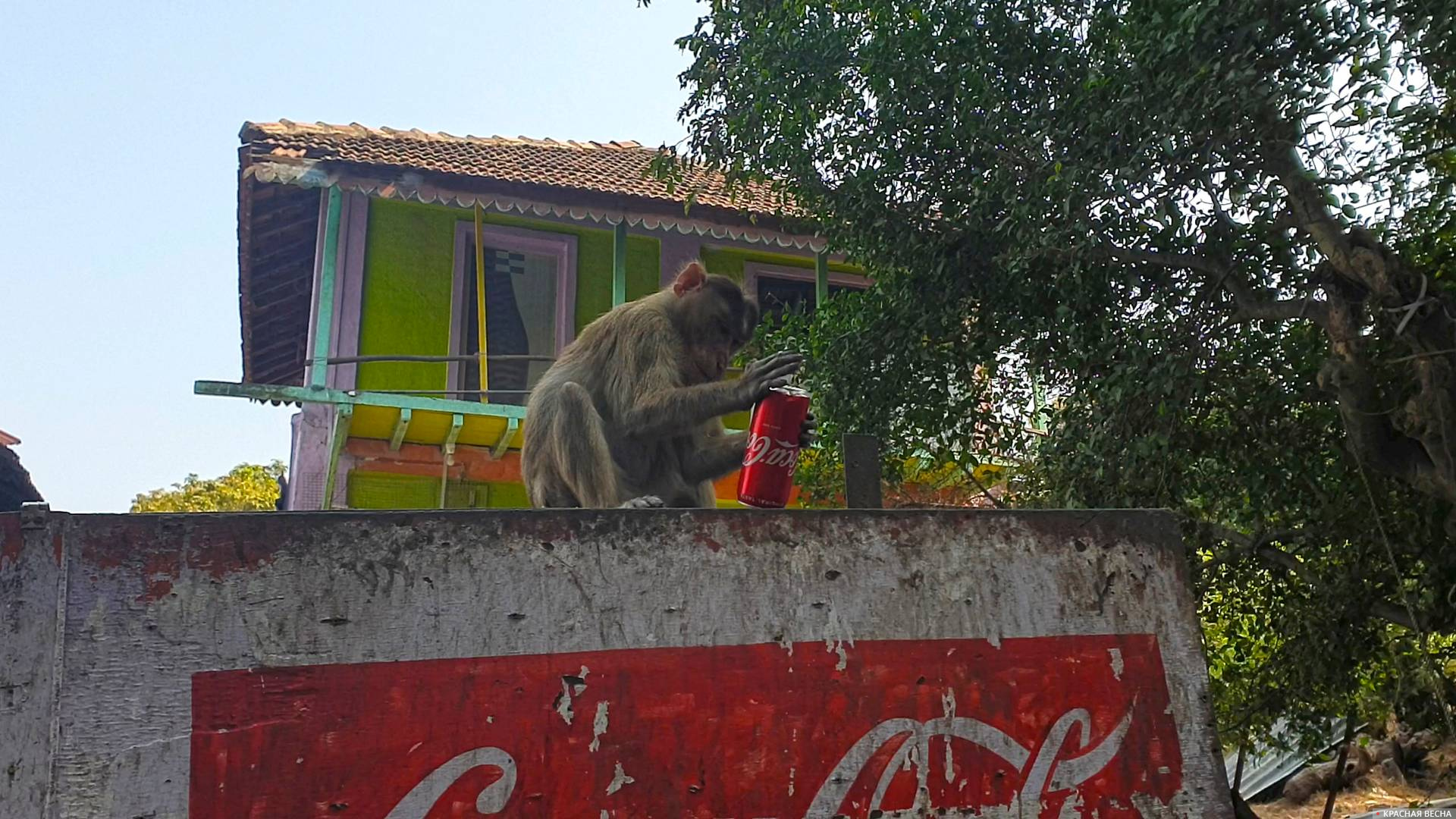 Coca-Cola. Махараштра. Индия