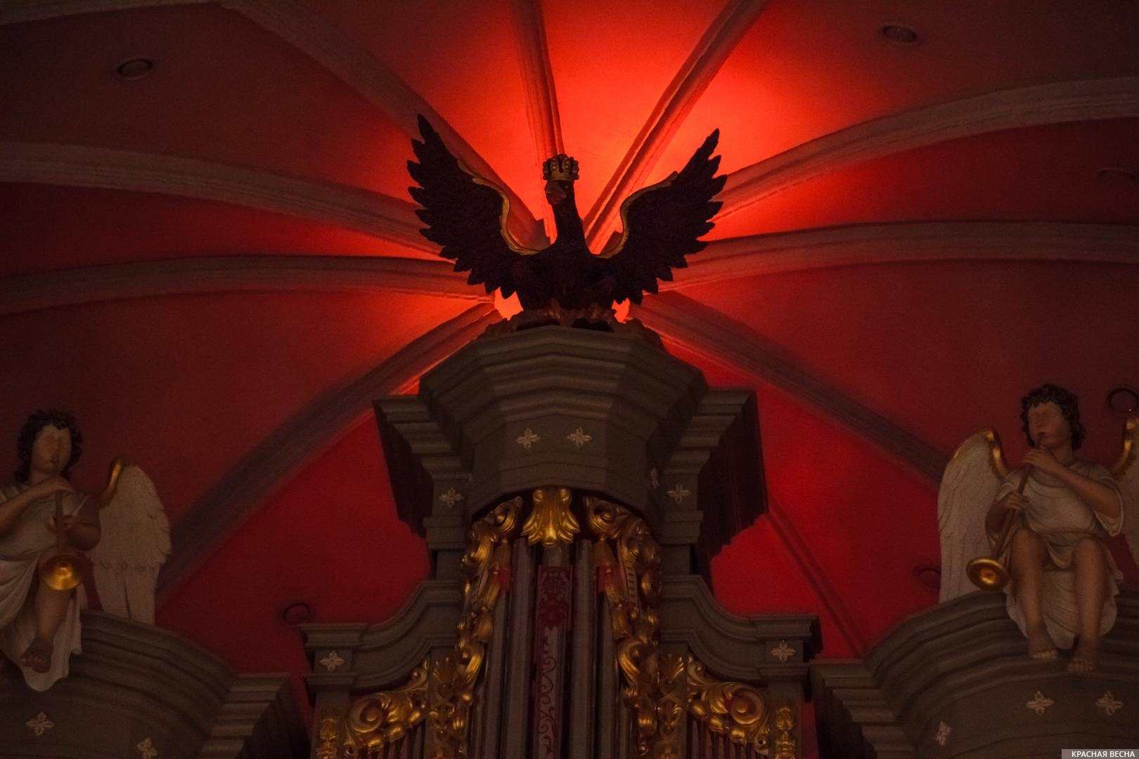 Птица Феникс. Орган Кафедрального собора в Калининграде