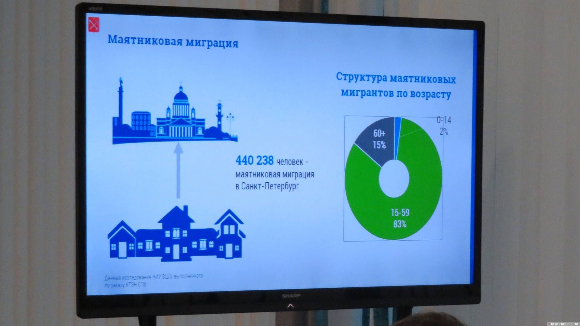 Структура маятниковых мигрантов в Санкт-Петербург по возрасту. Слайд из презентации Д.С.Чернейко. 10.12.2019