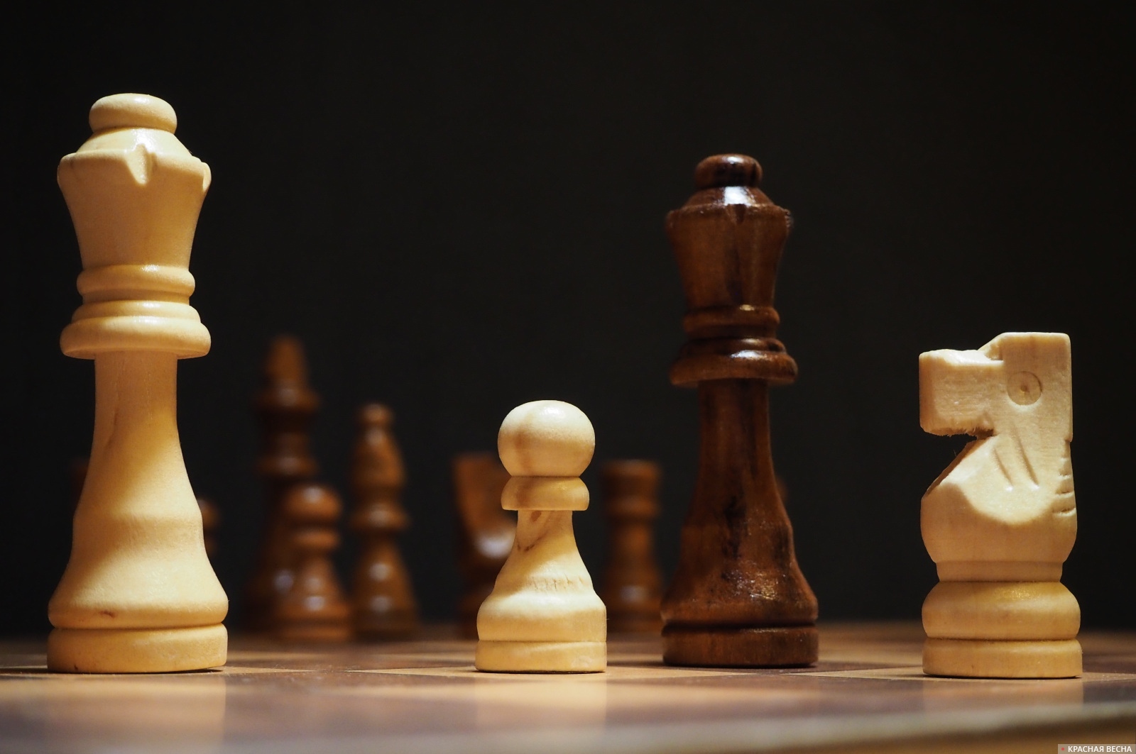 Сыгран пятый тур чемпионата Москвы по шахматам
