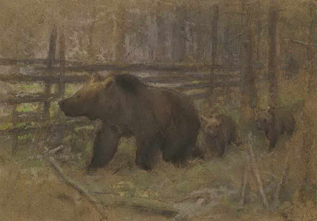 Алексей Степанов. Медведица с медвежатами