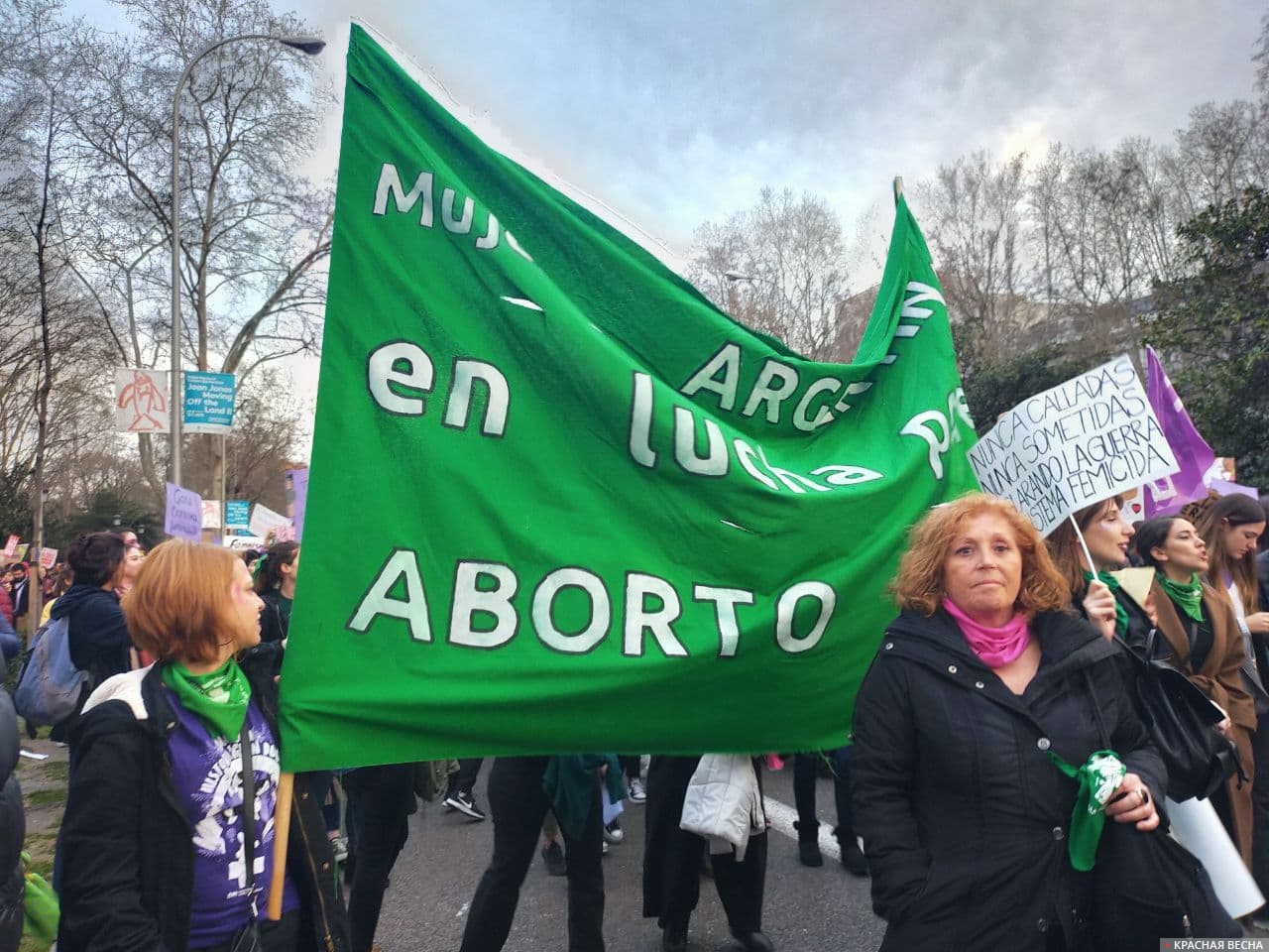 Делегация аргентинских феминисток на феминистском марше 8 марта в Мадриде