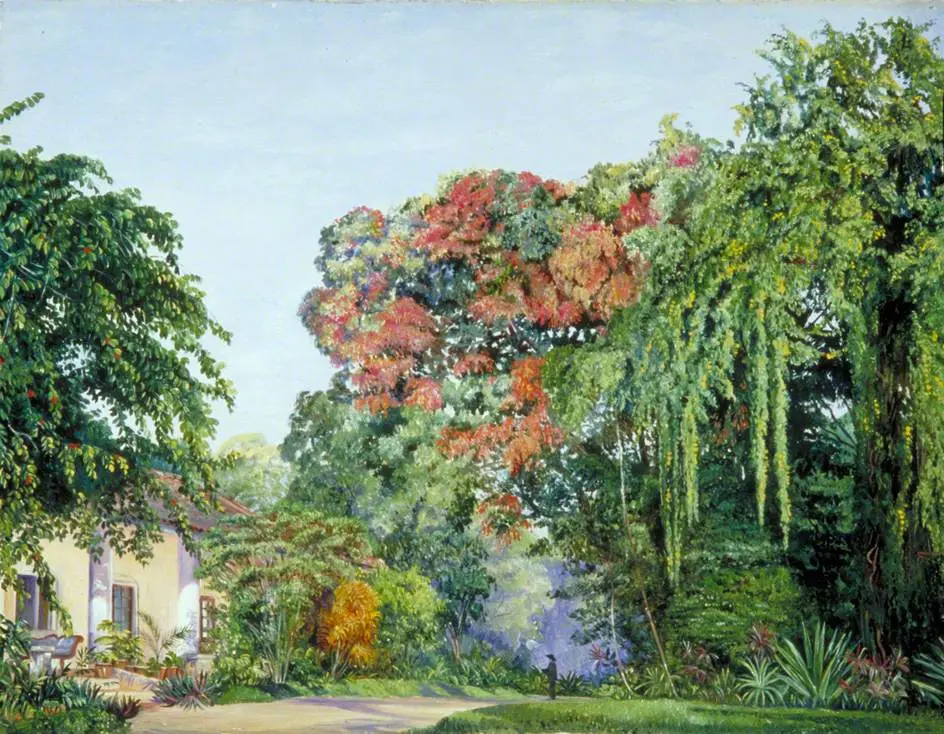 Марианна Норт. Королевские ботанические сады, Перадения, Цейлон. 1877