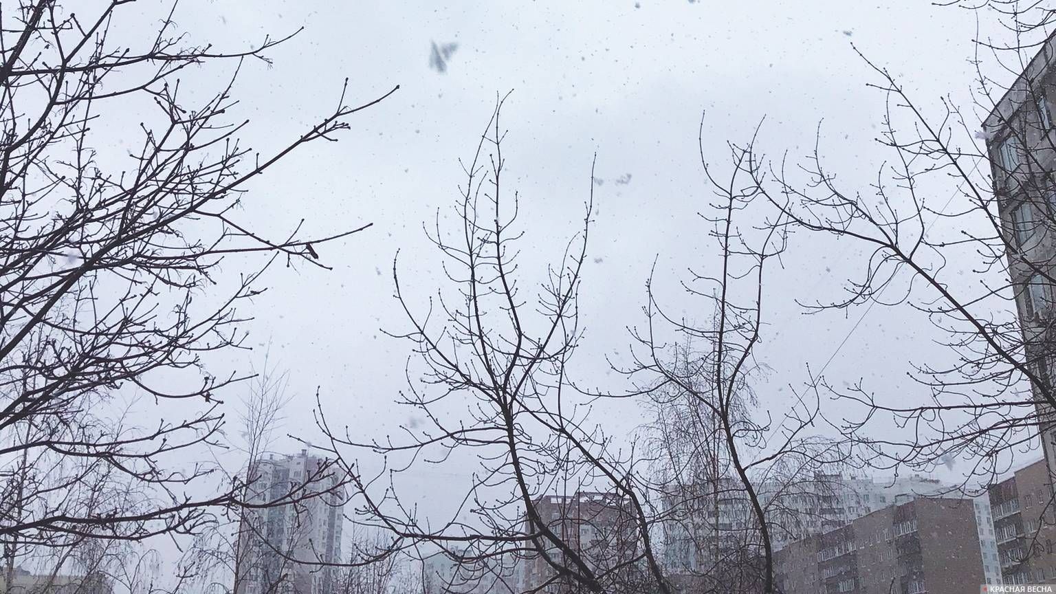 Снег в московском дворе