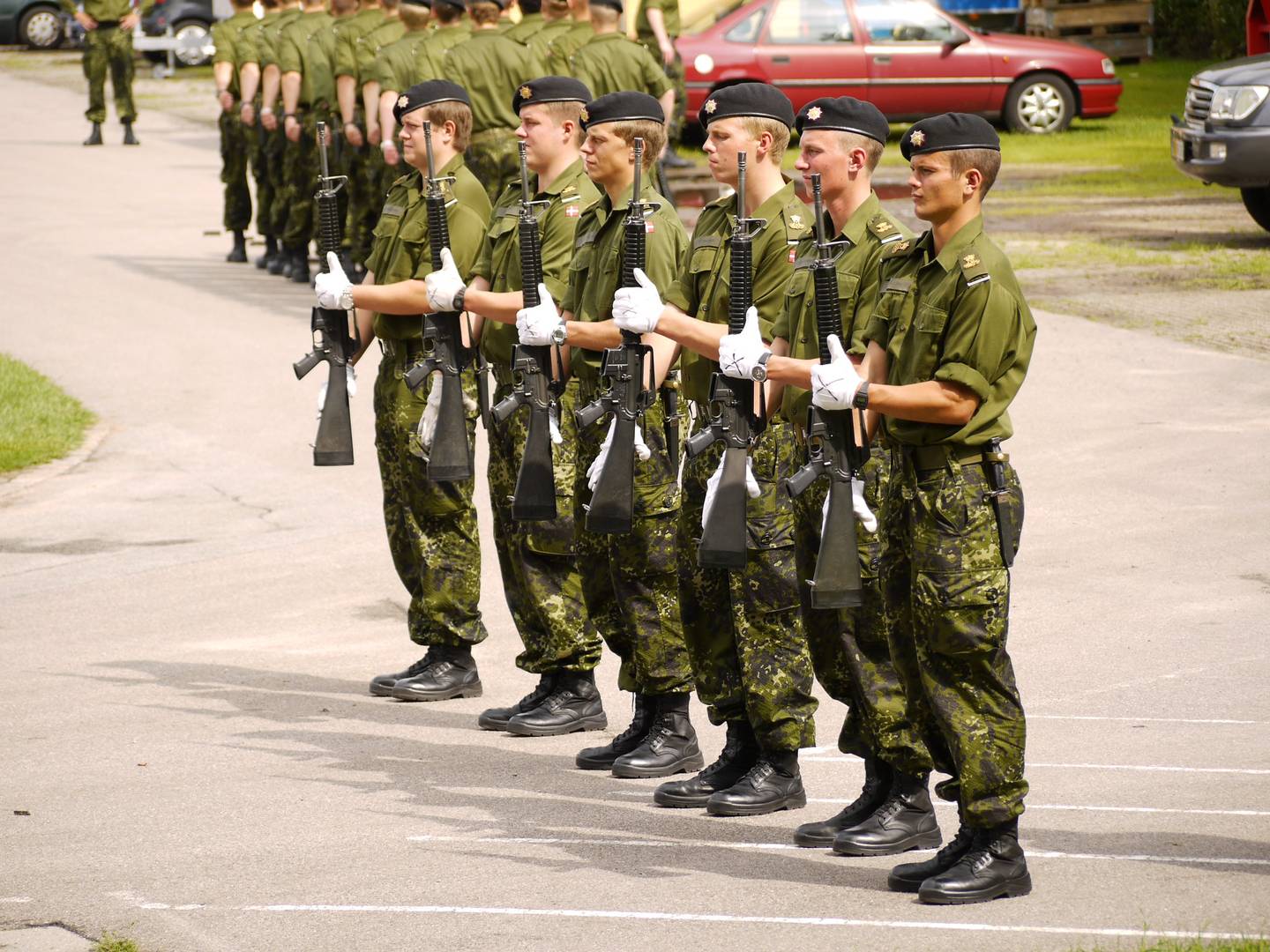 Военные. Дания