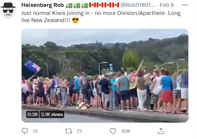 Новозеландцы поддерживают колонну протестующих по ходу движения. Скриншот страницы пользователя Twitter https://twitter.com/Rob51891739