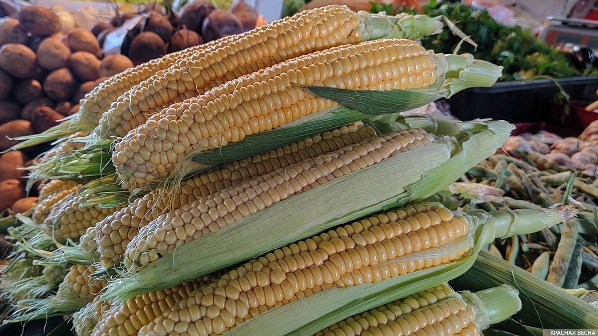 Кукуруза на продуктовом рынке