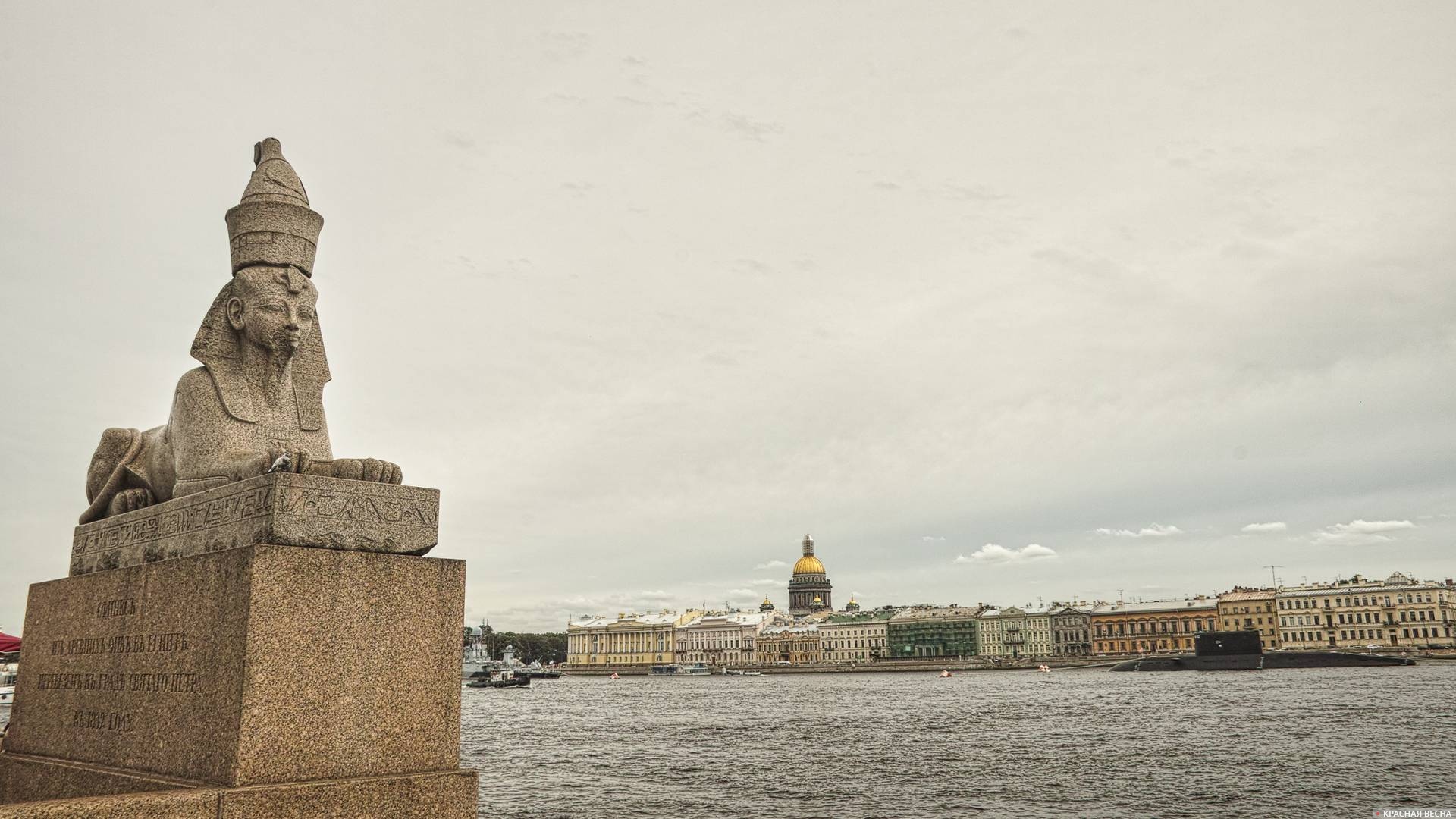 Сфинкс. Большая Нева. Санкт-Петербург