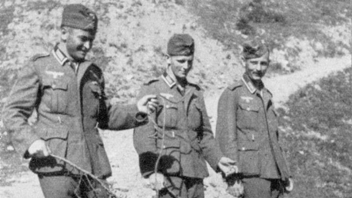 Трое немецких солдат пасут свинью в оккупированном польском селе
