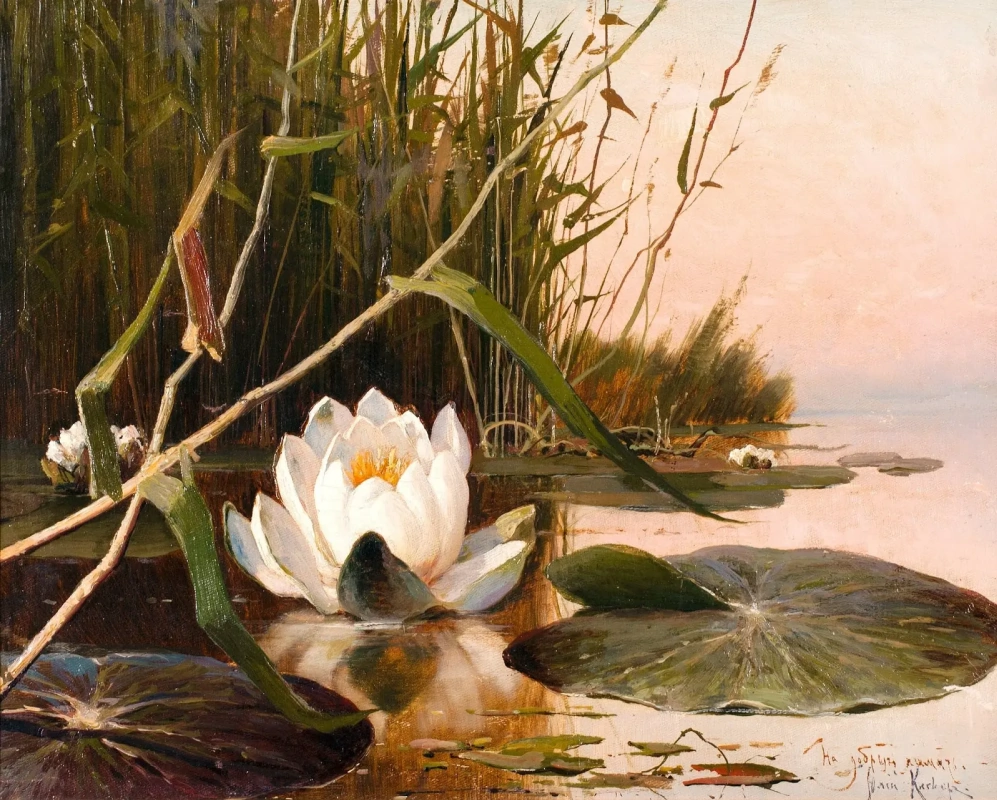 Юлий Клевер. Кувшинка