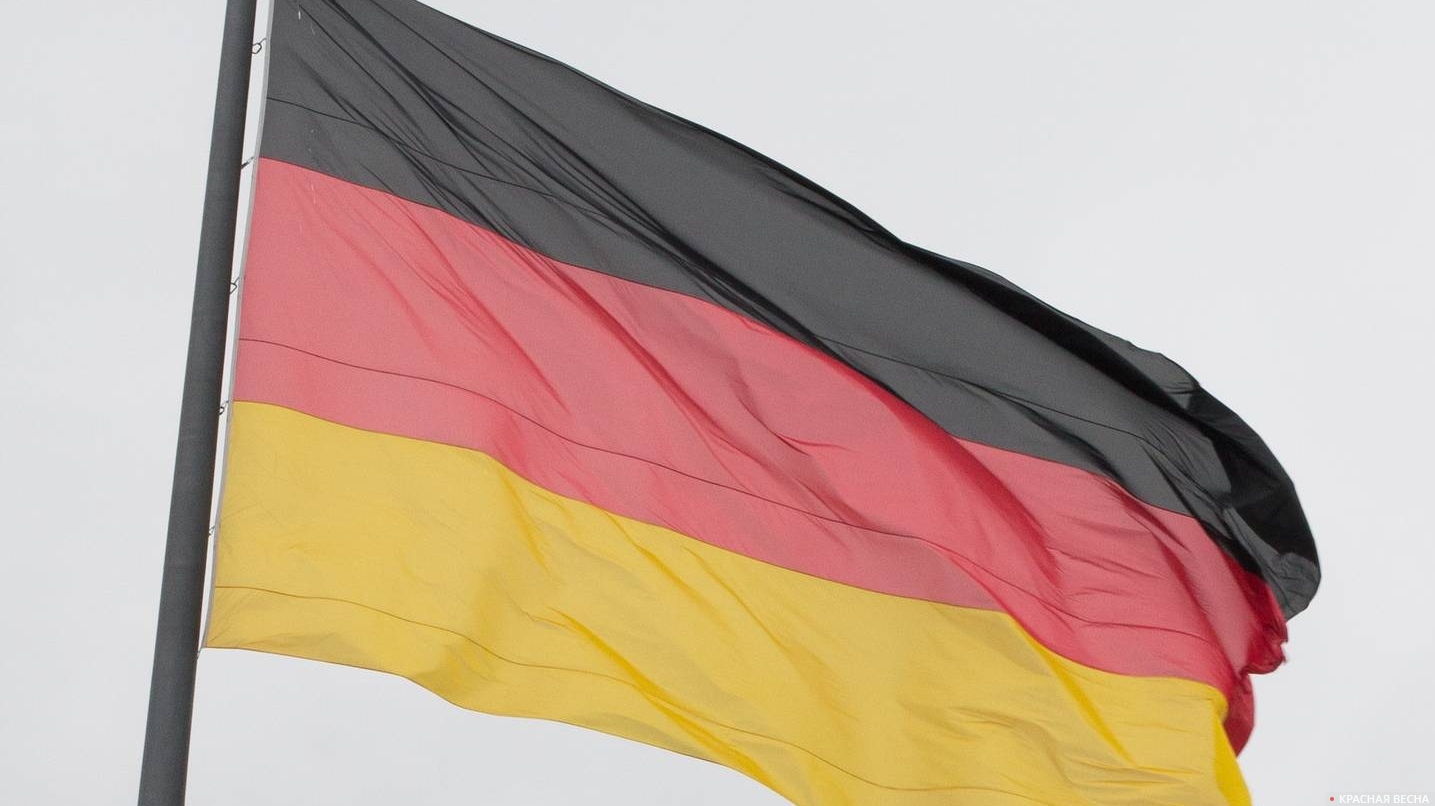 Политики ФРГ обеспокоены усилением связей ультраправых с окружением Трампа