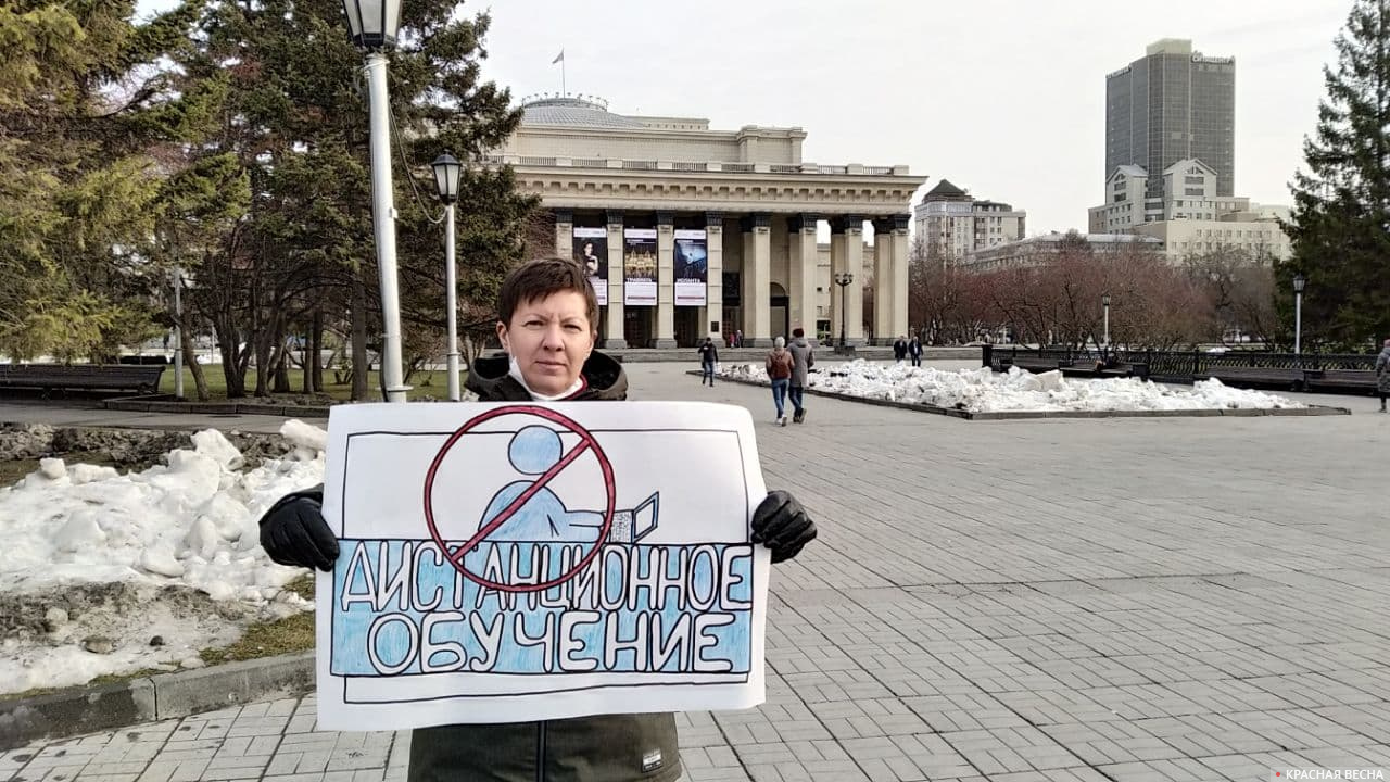 Одиночный пикет 7 ноября в Новосибирске