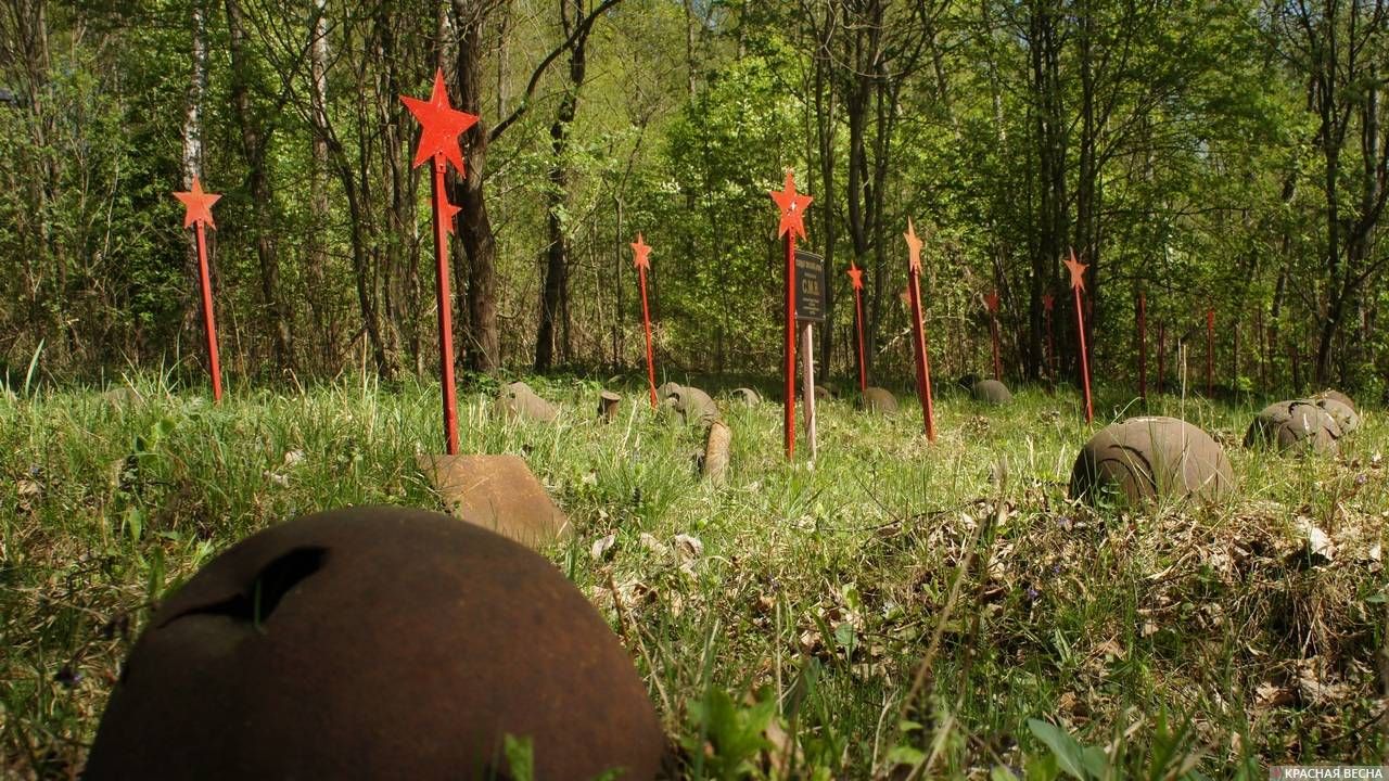 Кладбище советских солдат в лесу. Смоленская область