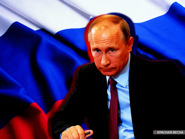 Президент РФ Владимир Путин [Евгений Давыдов © ИА Красная Весна]