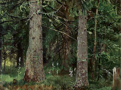 И Шишкин. Еловый лес. 1889