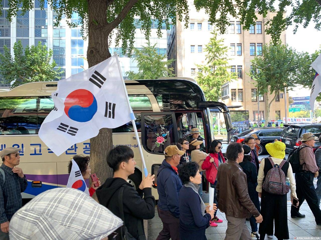 Автобусы на праздновании Дня корейской письменности