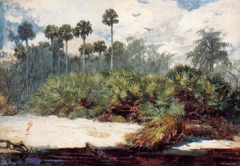 Уинслоу Хомер. Джунгли Флориды. 1886