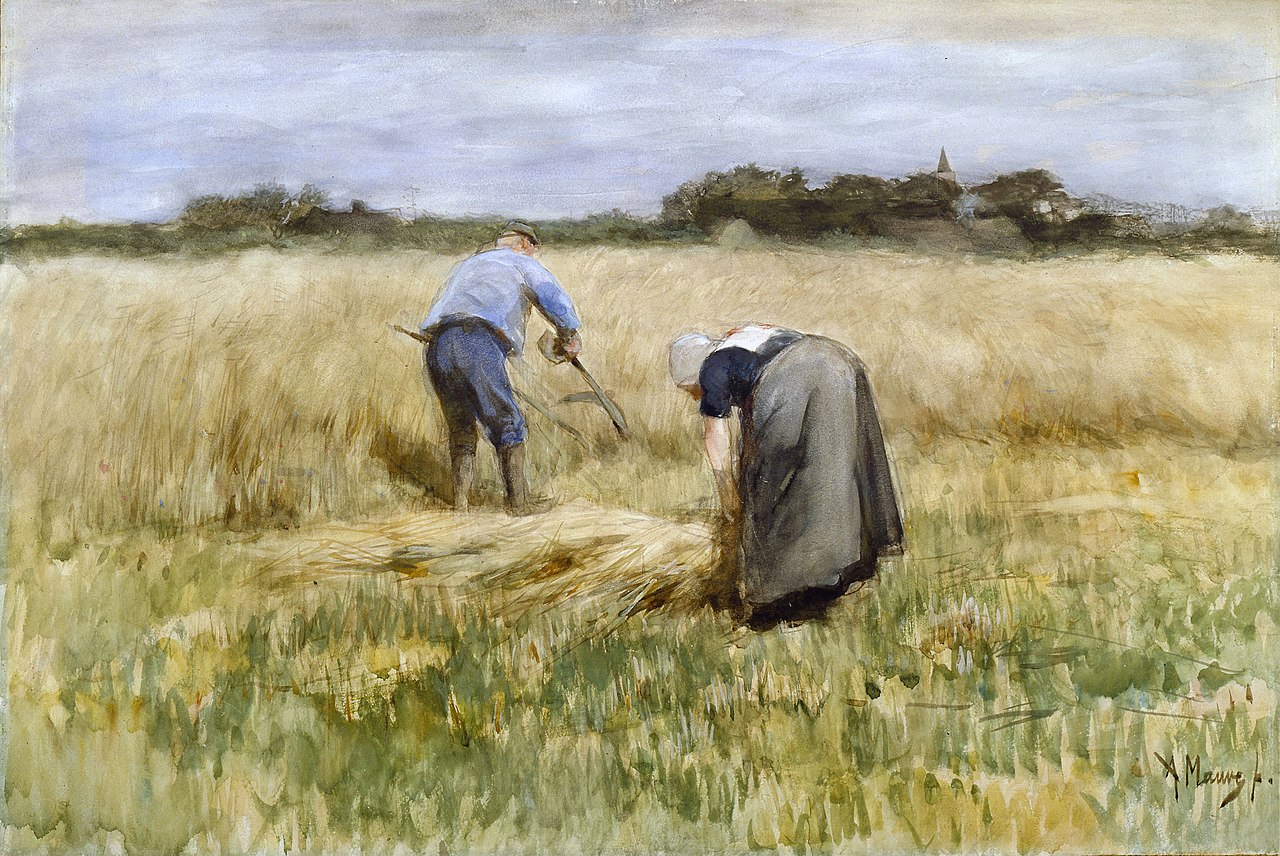 Антон Мауве. Урожай пшеницы