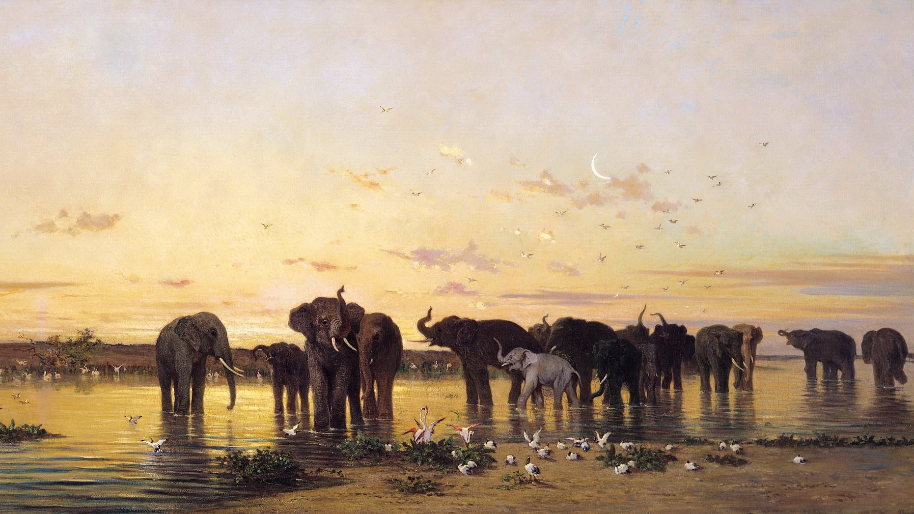 Шарль Эмиль де Турнемин. Африканские слоны (фрагмент)