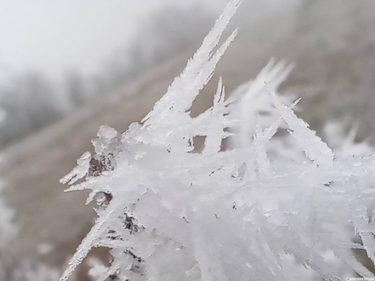 Игольчатые снежинки 