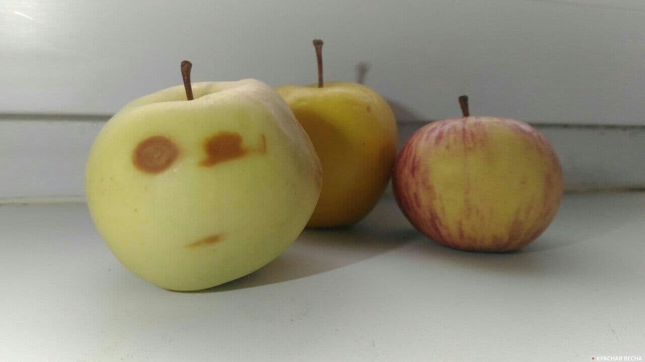 Подозрительное яблоко