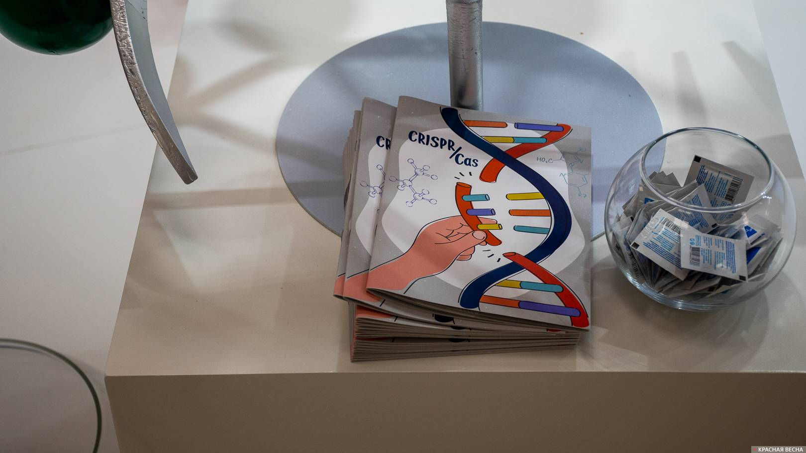 Брошюра о редактировании генома человека на стенде Роспотребнадзора, ВЭФ-2021