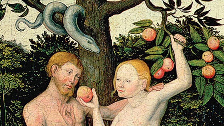 Лукас Кранах Младший. Адам и Ева (фрагмент). 1504