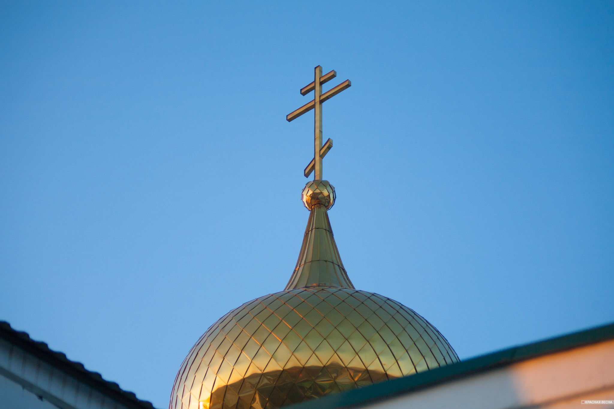 Крест на куполе храма [Владимир Чичилимов © ИА Красная Весна]