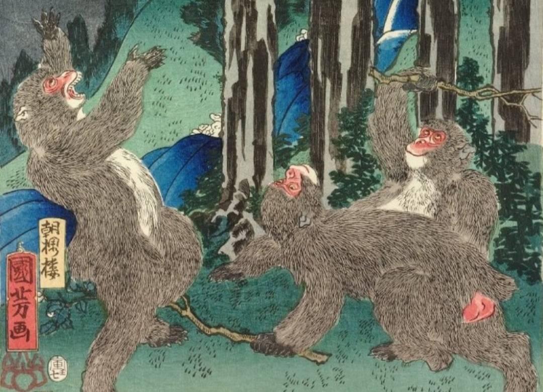 Утагава Куниёси. Обезьяна. Минамото Ёсицунэ при свете луны играет с обезьянами у лесного водопада (фрагмент). 1854