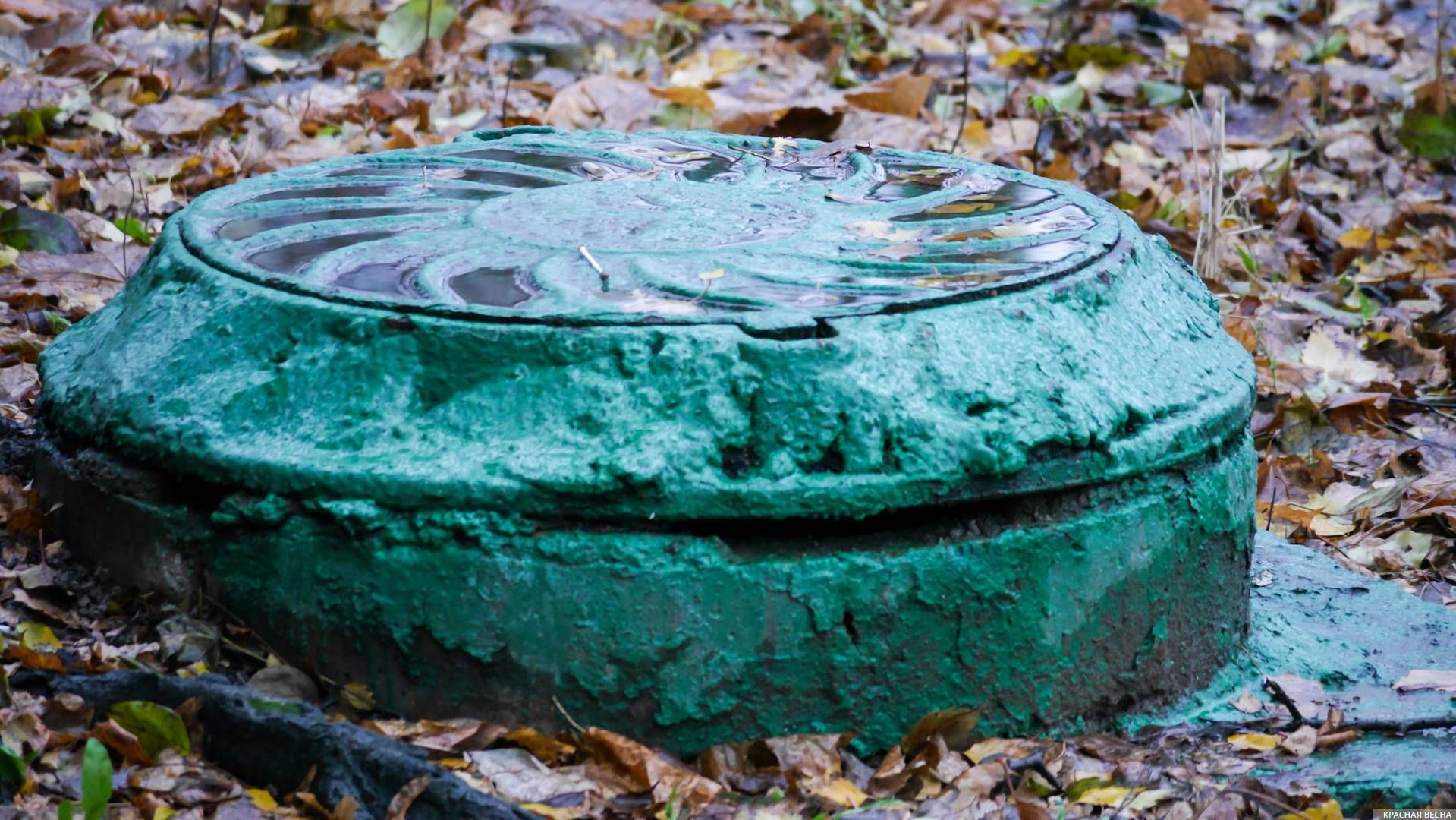 Испанские ученые предложили следить за коронавирусом через канализацию ...