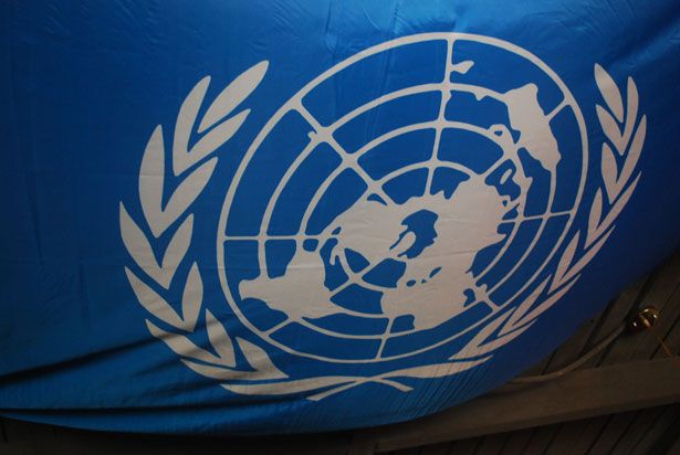Флаг ООН Бесплатная фотография - Public Domain Pictures