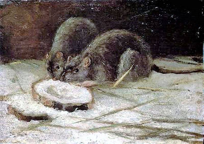 Винсент Ван Гог «Две крысы» 1884 год