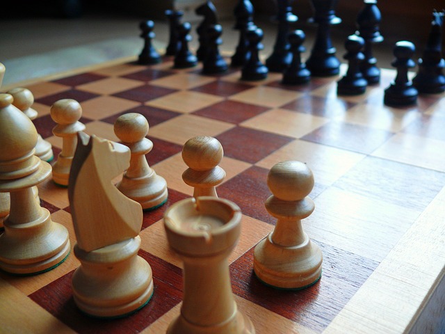 Шахматы [(cc) moritz320]