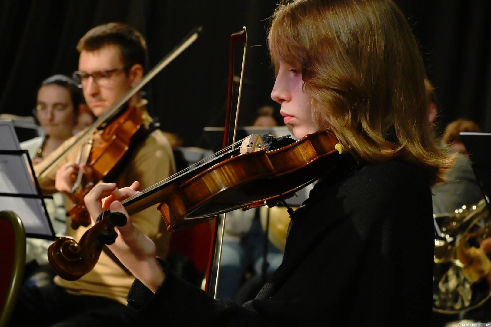 Оркестр The Multimedia Art orchestra. Классическая музыка