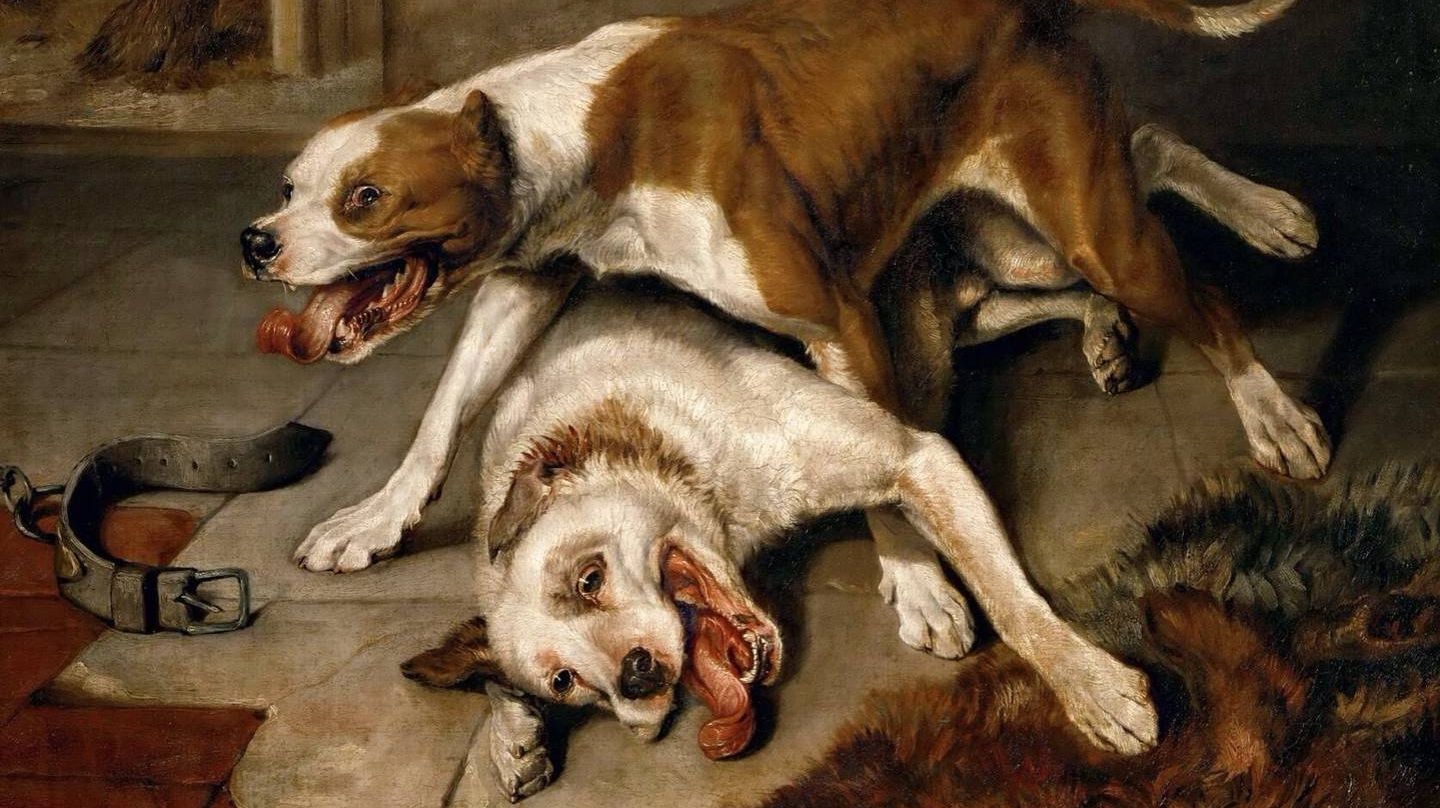 Эдвин Генри Ландсир. Бойцовские собаки запыхались. 1839 год