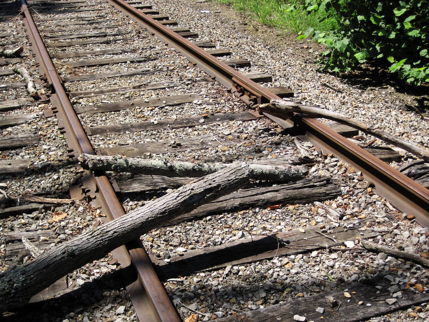 Бревно на рельсах