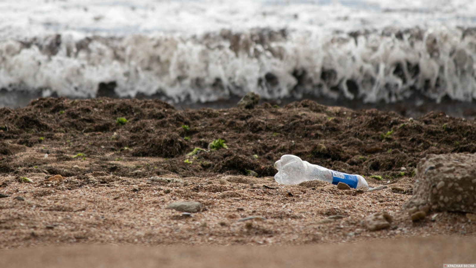 Пластиковая бутылка на берегу моря. Евпатория, Крым