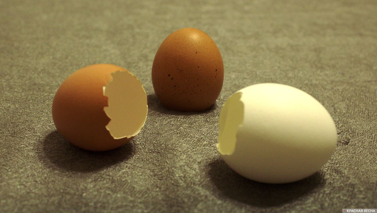 Натюрморт Пустые яйца