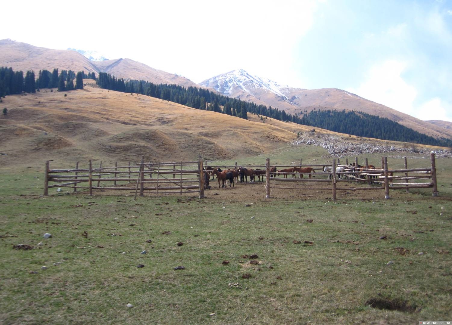 Загон для лошадей Киргизия