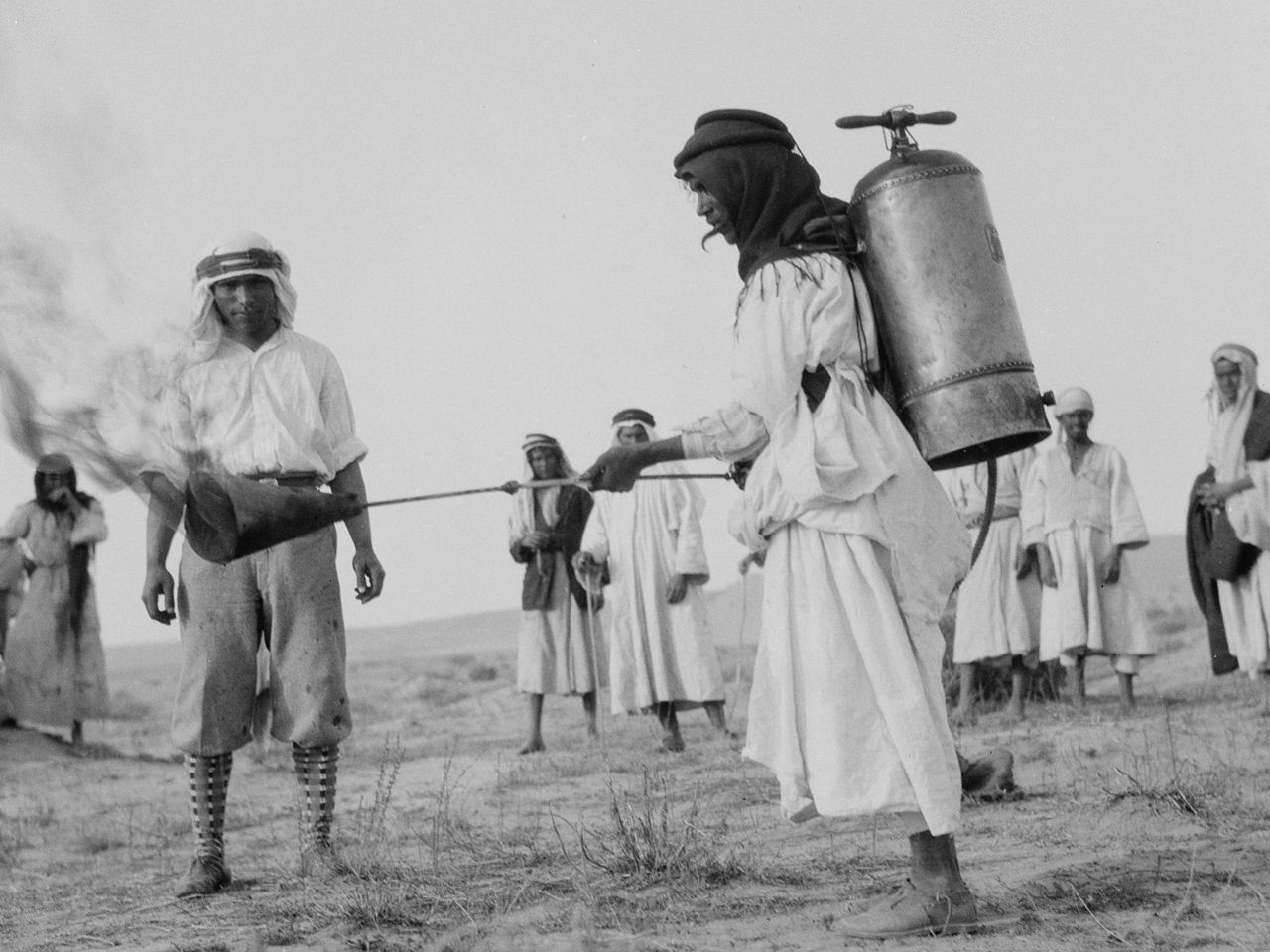 Борьба с саранчой, фотография 1915 года