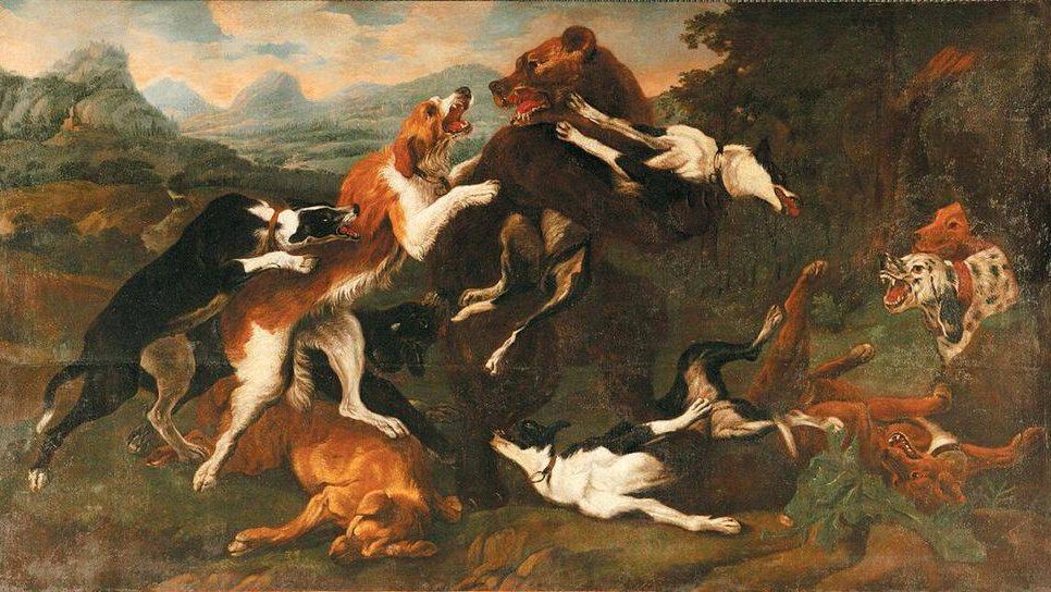 Пауль де Вос.Травля медведя собаками.1590-1678